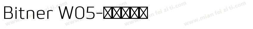 Bitner W05字体转换